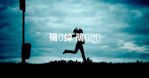 鳵ҵ绰 鳵˾ƴȫ